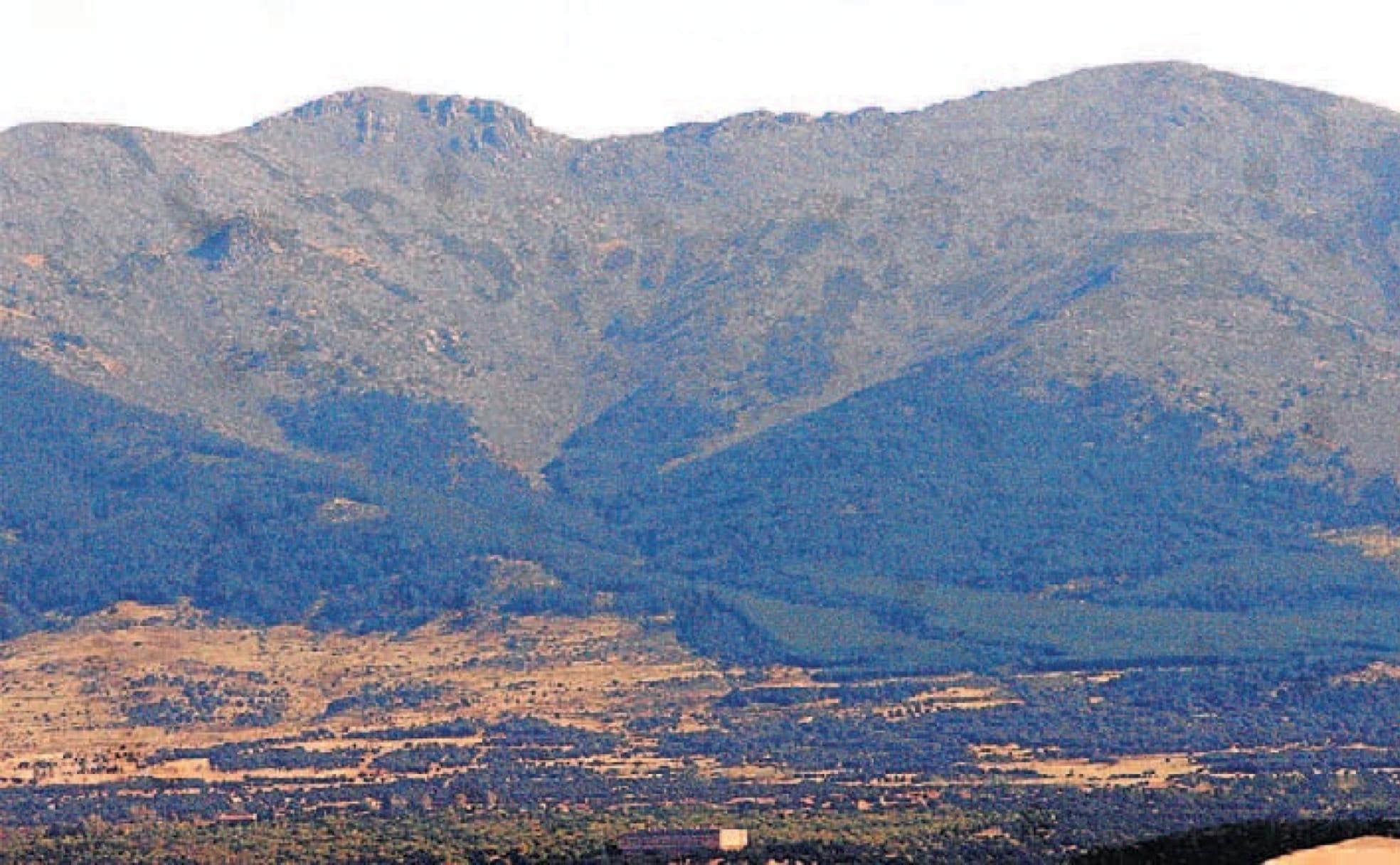 La Mujer Muerta | El Norte De Castilla